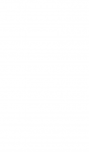 Сушилка для рук SANIFLOW E05A